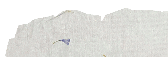 paper-3