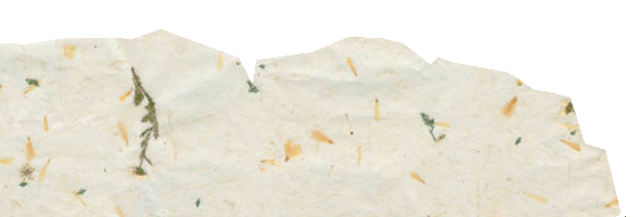 paper-4
