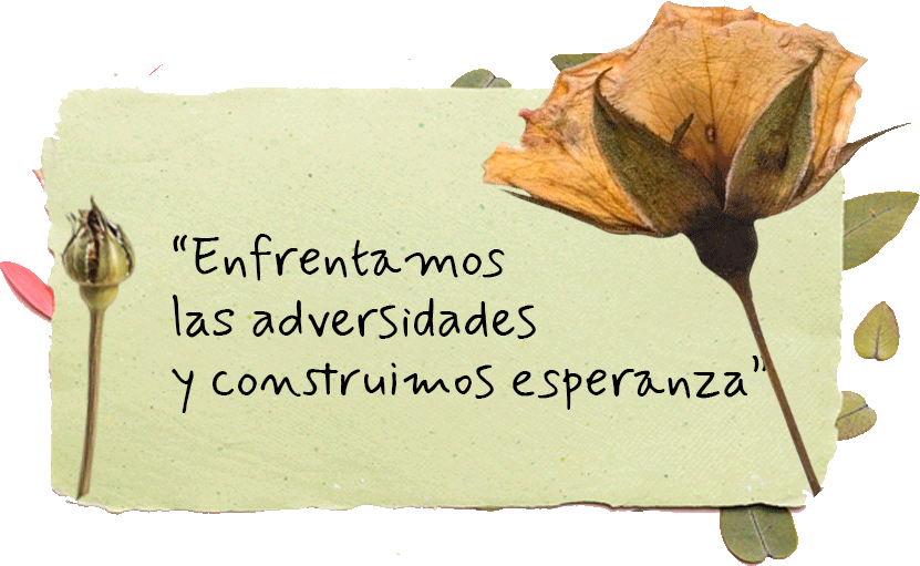 3b13817b40fe31c14e4053296482333865e3b96a